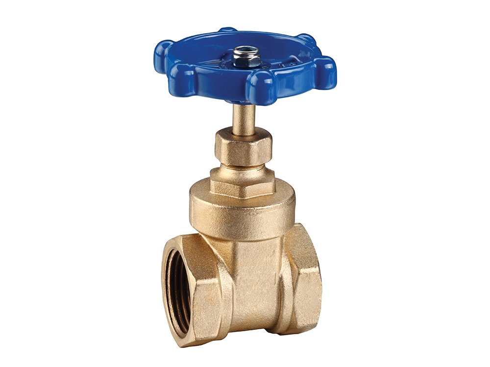 �S�~�z���l�y